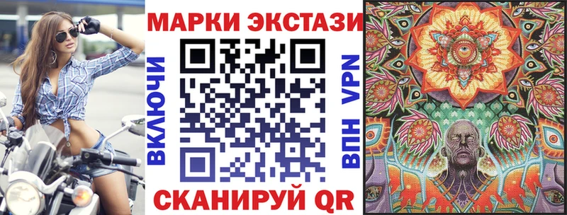 купить закладку  Губаха  Марки N-bome 1,8мг 
