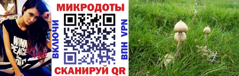 Галлюциногенные грибы мицелий  Губаха 